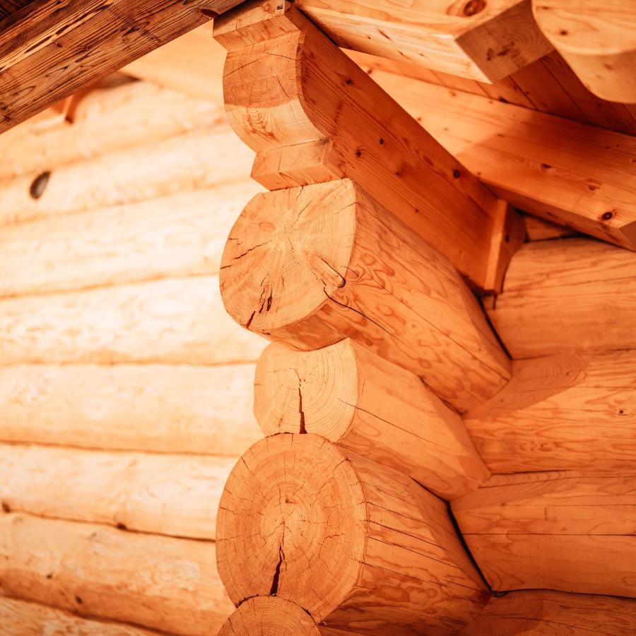 Im Weidach Superior Chalets Leutasch Zewnętrze zdjęcie